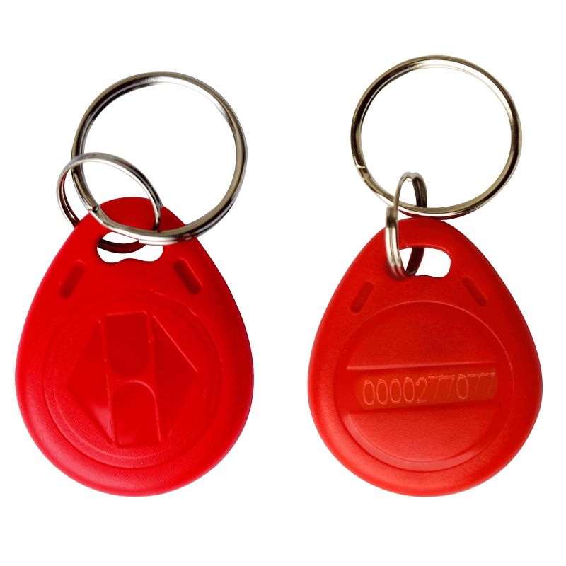 Taguri Chei Set de 20 taguri RFID TK4100 - 125-KHz – RalSig